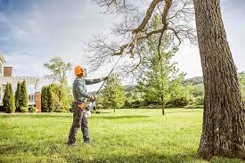 How Our Tree Care Process Works  in  Mantua, UT